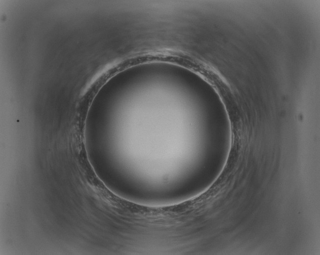 X0000082981256200702011414