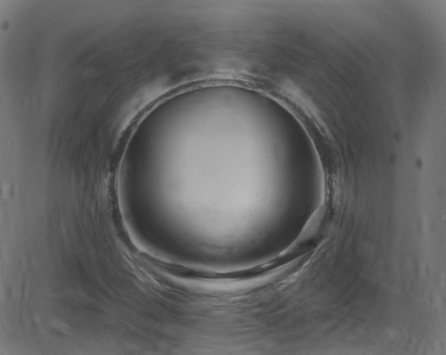 X0000082981260200702011414