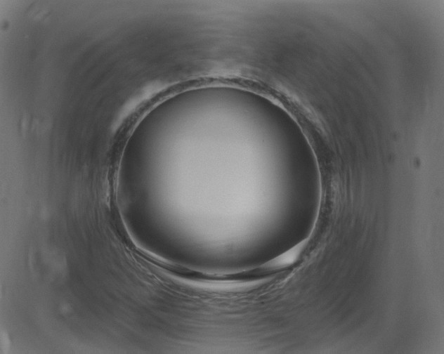 X0000082981262200702011414