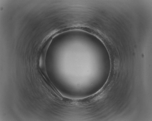 X0000082981265200702011414