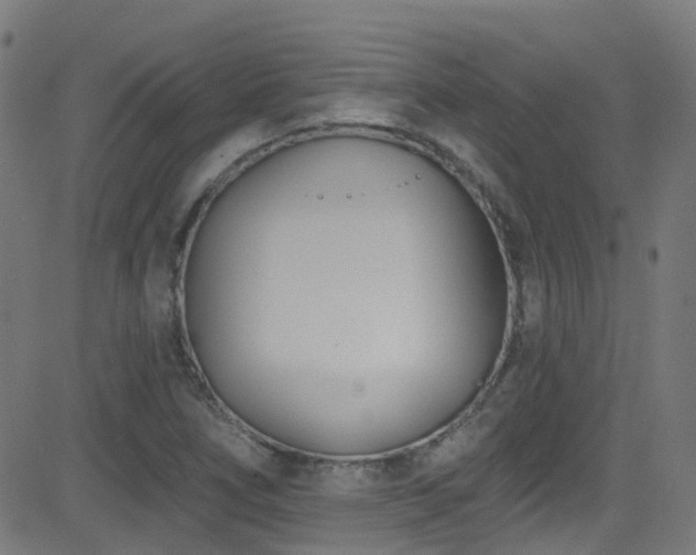 X0000082981266200702011414