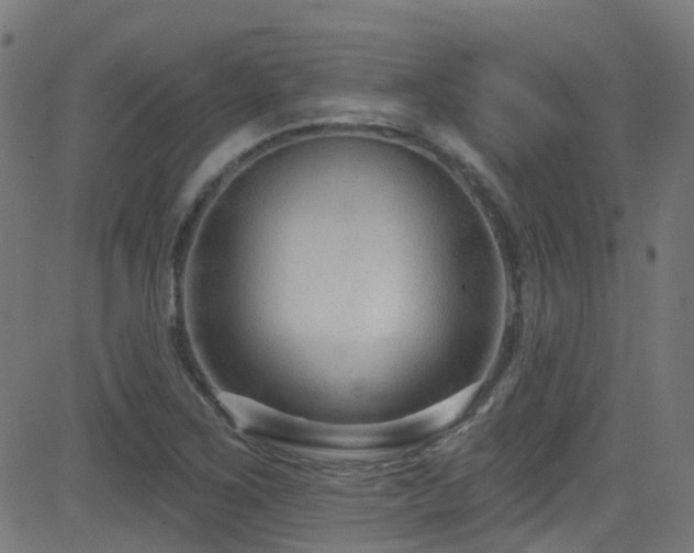 X0000082981267200702011414