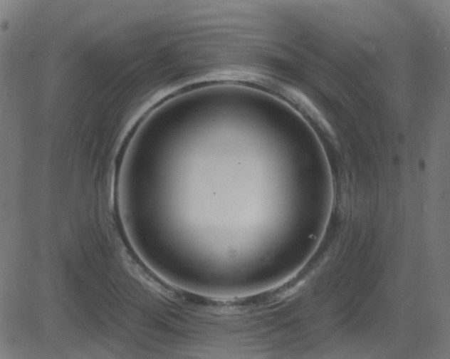 X0000082981276200702011414