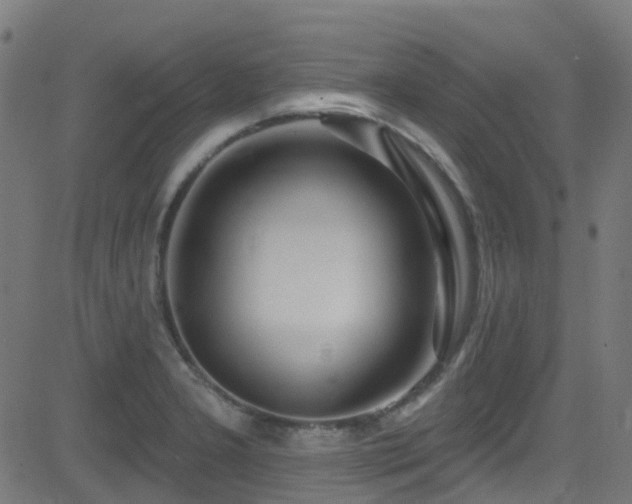 X0000082981277200702011414