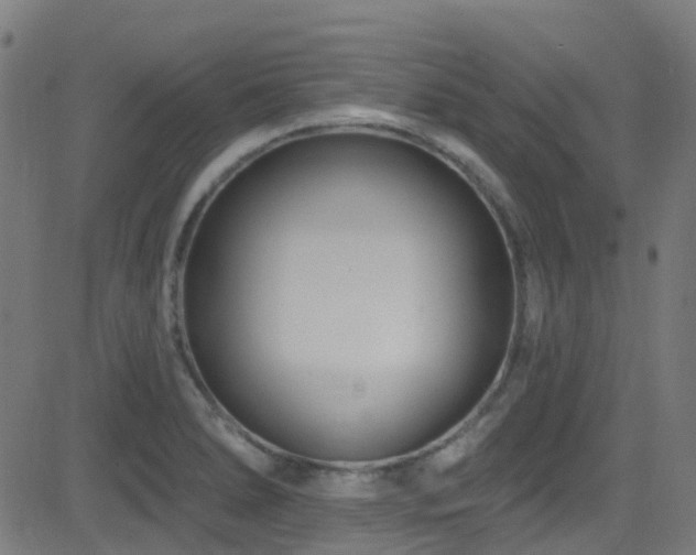 X0000082981278200702011414