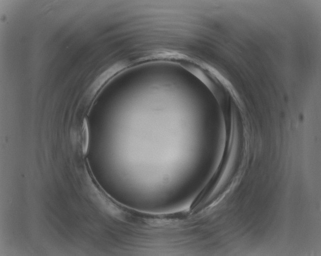 X0000082981281200702011414