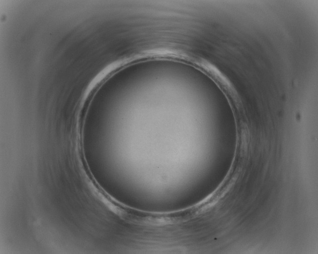 X0000082981286200702011414