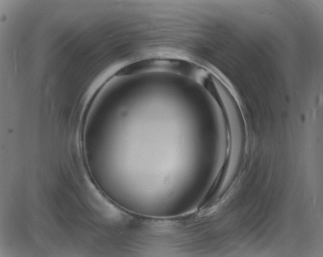 X0000082981293200702011414