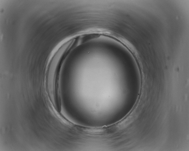 X0000082981296200702011414