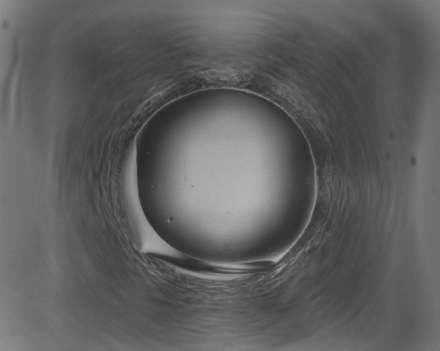 X0000082981297200702011413