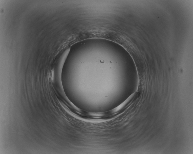 X0000082981298200702011413
