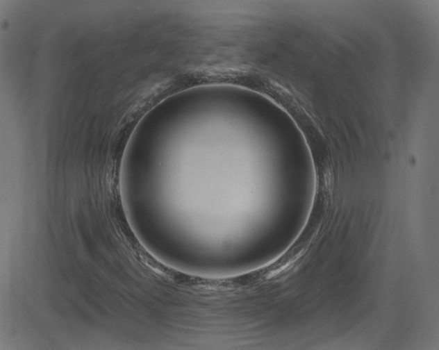X0000082981300200702011413
