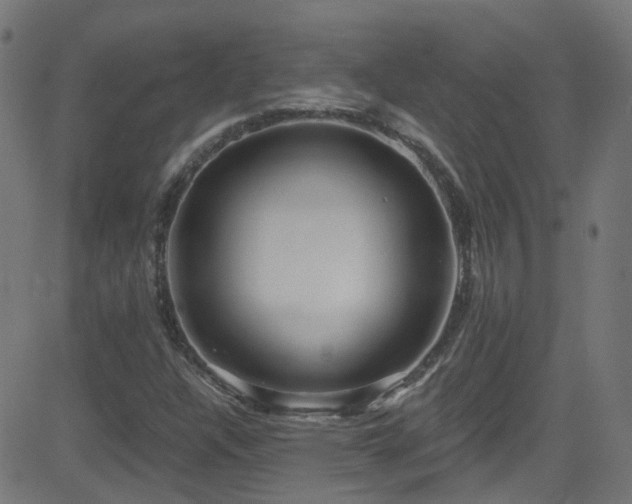 X0000082981304200702011413