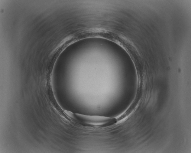 X0000082981305200702011413