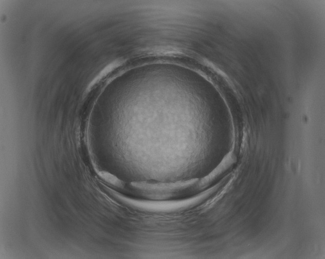 X0000082981306200702011413
