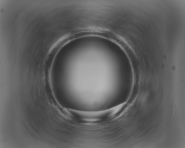 X0000082981307200702011413