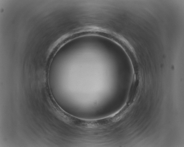 X0000082981318200702011413