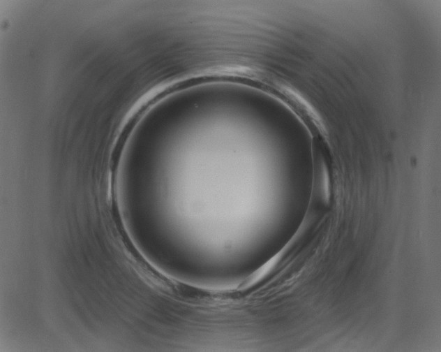 X0000082981324200702011413