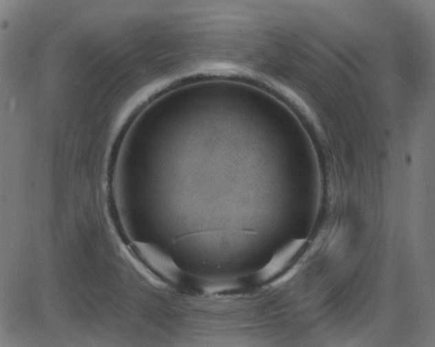 X0000082981327200702011413