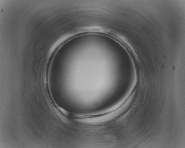 X0000082981328200702011413