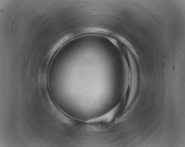 X0000082981330200702011413