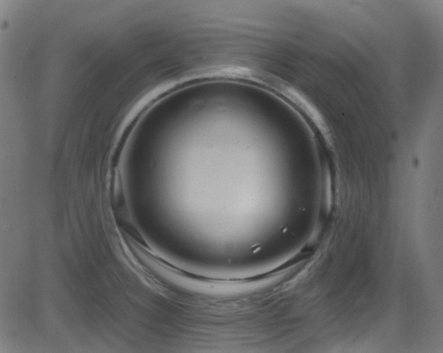 X0000082981332200702011413
