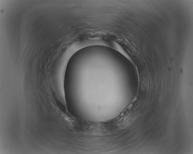 X0000082981345200702011413
