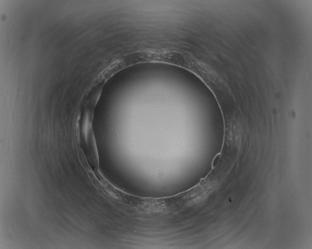 X0000082981346200702011413