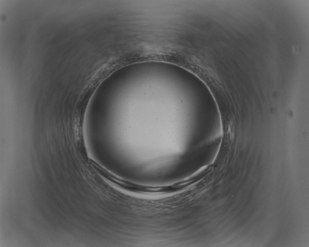 X0000082981348200702011413