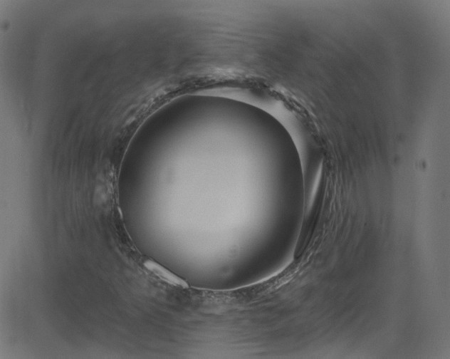 X0000082981349200702011413