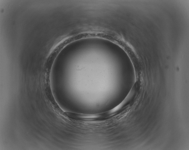 X0000082981352200702011413
