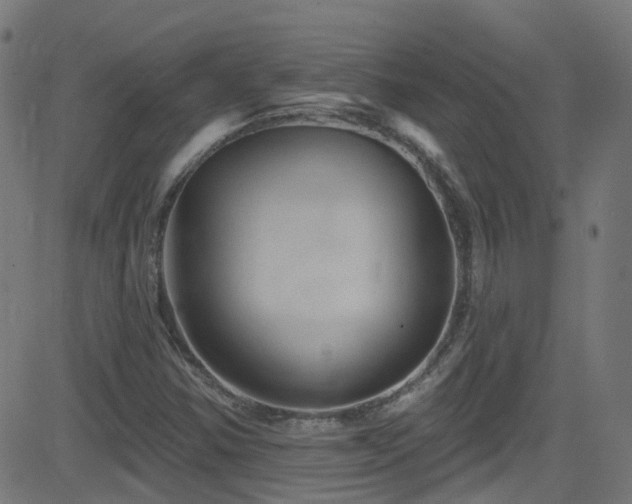 X0000082981354200702011413