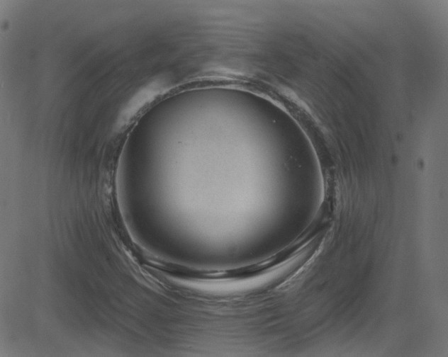 X0000082981355200702011413