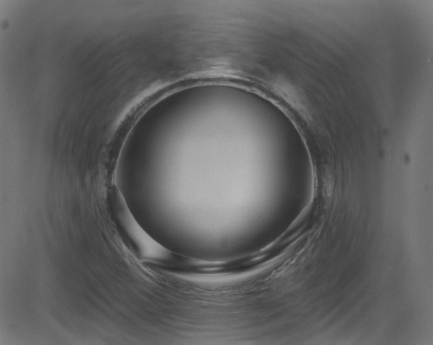 X0000082981356200702011413