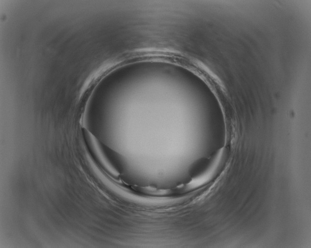 X0000082981357200702011413