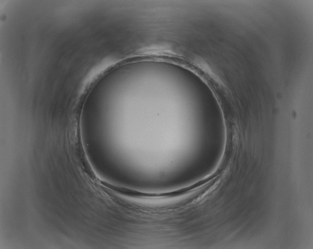 X0000082981358200702011413