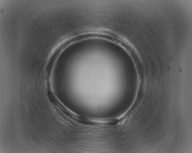 X0000082981360200702011413
