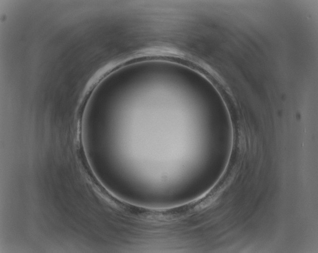 X0000082981366200702011412