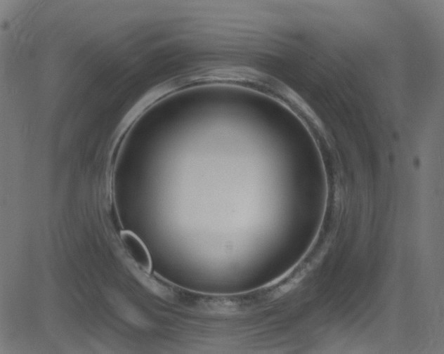 X0000082981370200702011412