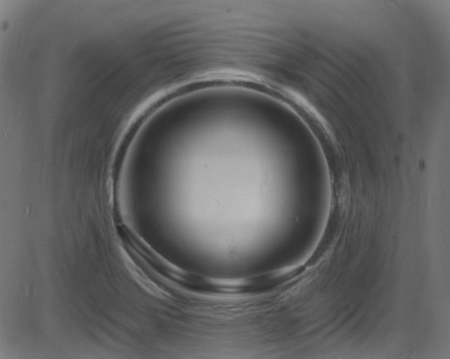 X0000082981372200702011412