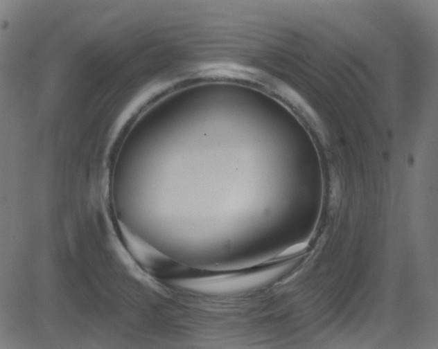 X0000082981376200702011412