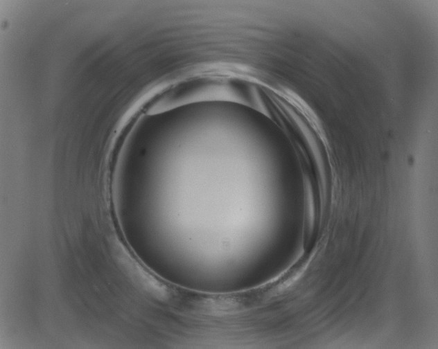 X0000082981384200702011412