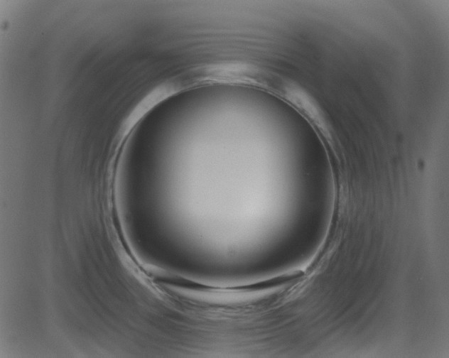 X0000082981386200702011412