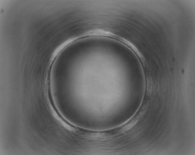 X0000082981387200702011412