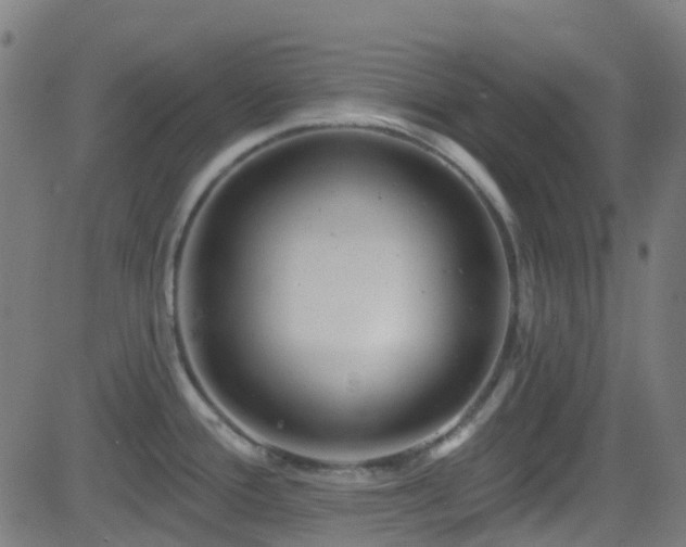 X0000082981388200702011412