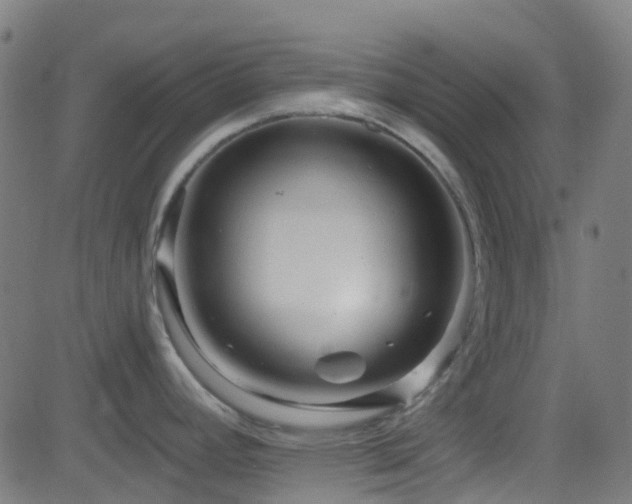 X0000082981392200702011412