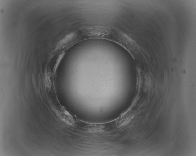 X0000082981394200702011411