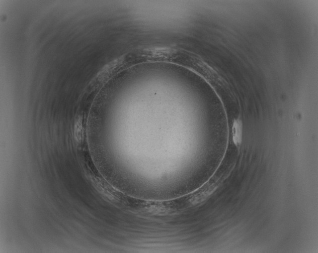 X0000082981395200702011411