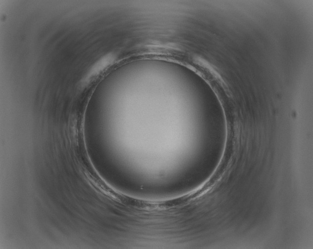 X0000082981403200702011411