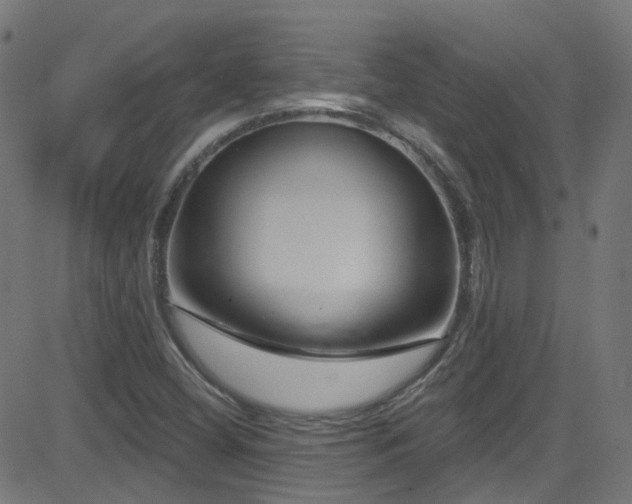 X0000082981404200702011411